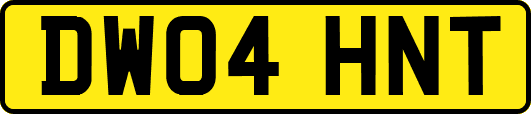 DW04HNT