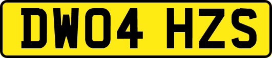 DW04HZS