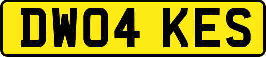 DW04KES
