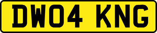 DW04KNG