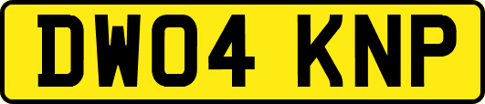 DW04KNP