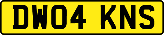 DW04KNS