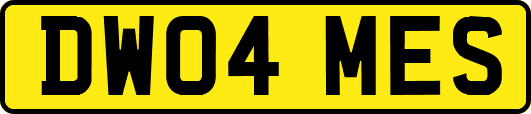 DW04MES