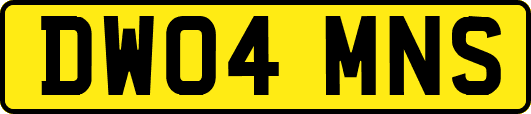 DW04MNS