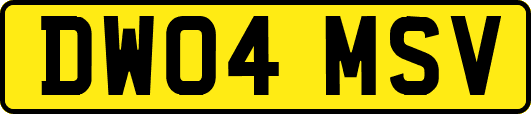 DW04MSV