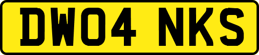 DW04NKS