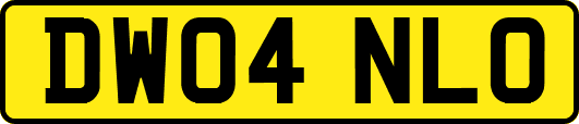 DW04NLO