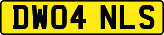 DW04NLS