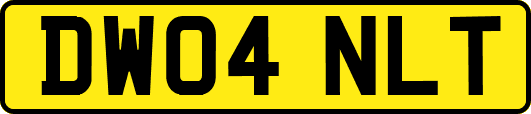 DW04NLT