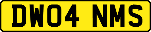 DW04NMS