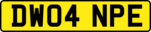 DW04NPE