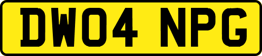 DW04NPG