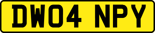 DW04NPY