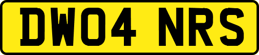 DW04NRS