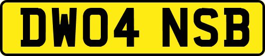 DW04NSB