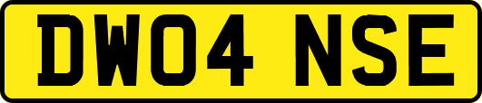 DW04NSE