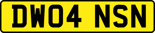DW04NSN