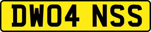 DW04NSS