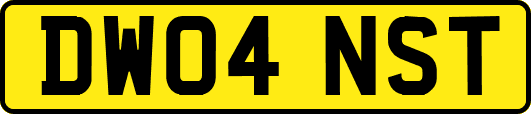 DW04NST
