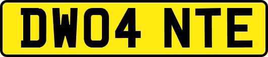 DW04NTE