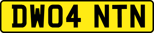 DW04NTN