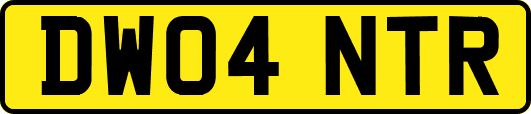DW04NTR