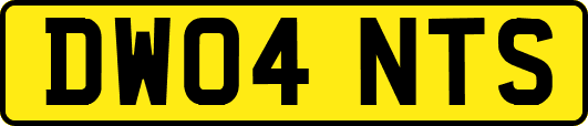 DW04NTS