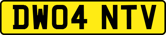 DW04NTV