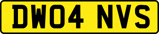 DW04NVS