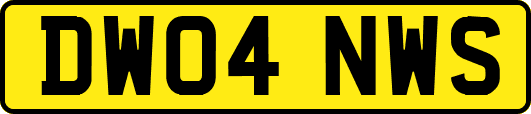 DW04NWS