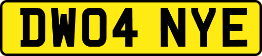DW04NYE