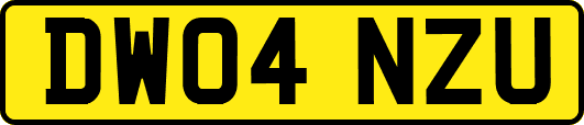 DW04NZU
