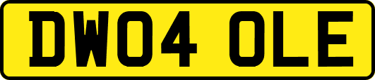 DW04OLE