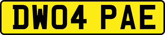 DW04PAE