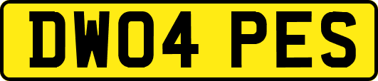DW04PES