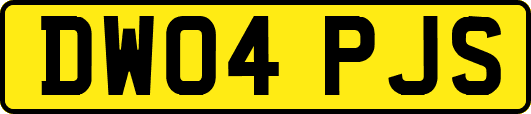 DW04PJS