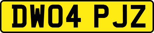 DW04PJZ