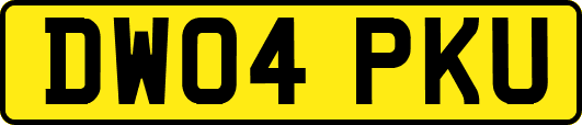 DW04PKU