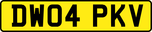 DW04PKV