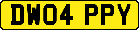 DW04PPY