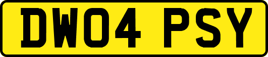 DW04PSY