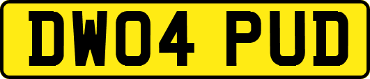 DW04PUD