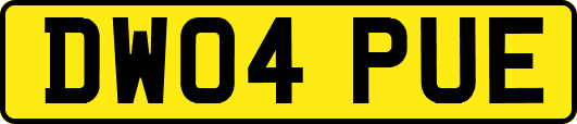 DW04PUE