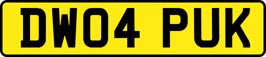 DW04PUK