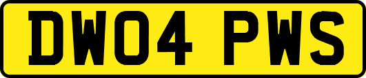 DW04PWS