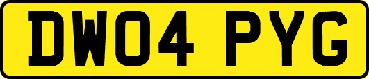 DW04PYG