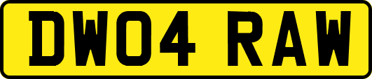 DW04RAW