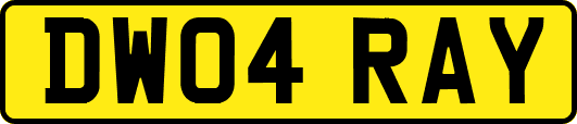 DW04RAY
