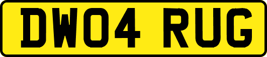 DW04RUG