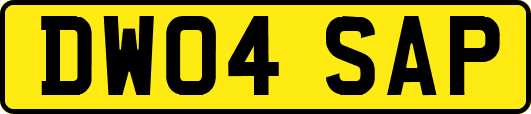DW04SAP
